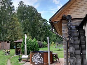 Фото Дома для отпуска Cabin with Sauna and pond, optional Hot Tube г. Ķeņini 4